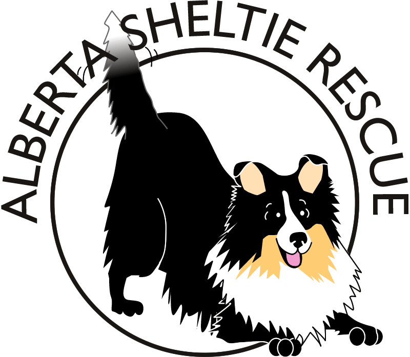 Alberta Sheltie Rescue